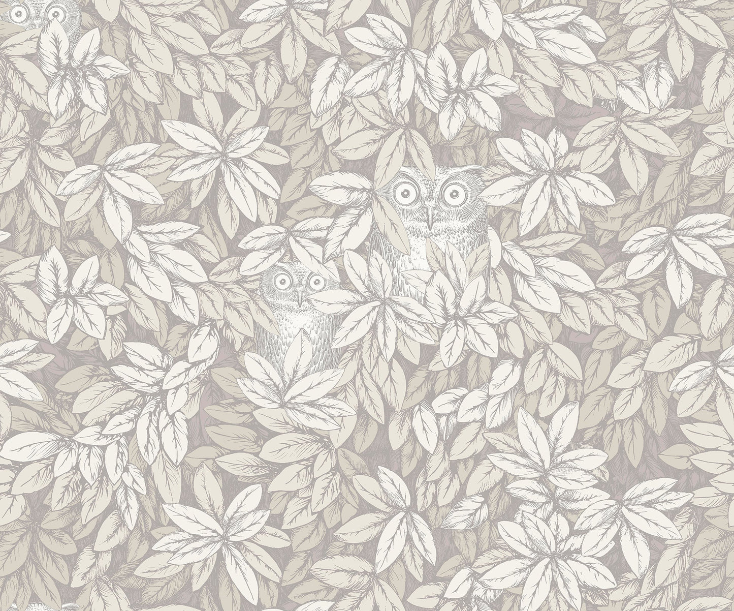 123/11052 - Foglie e Civette Wallpaper - White - Cole & Son
