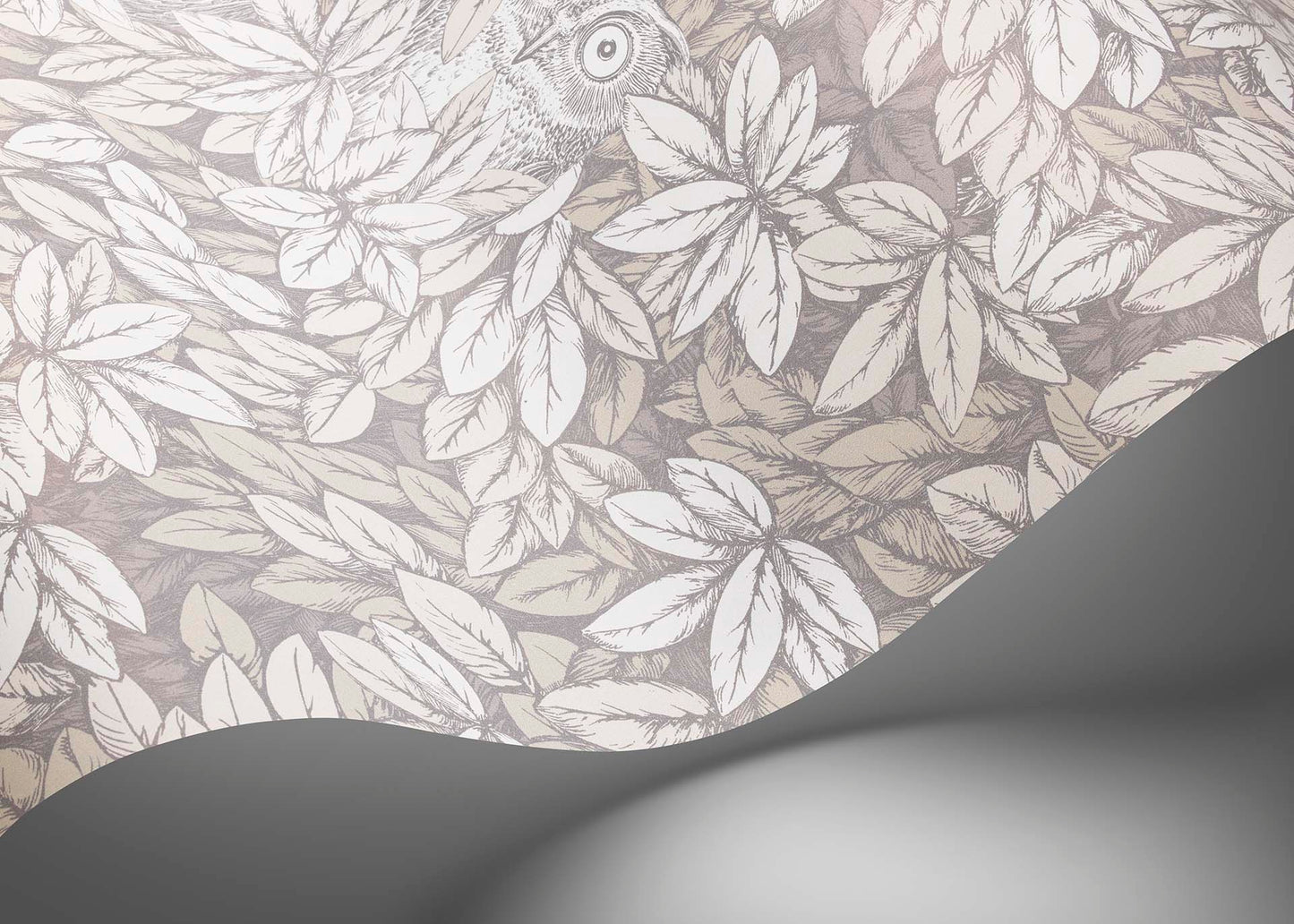 123/11052 - Foglie e Civette Wallpaper - White - Cole & Son