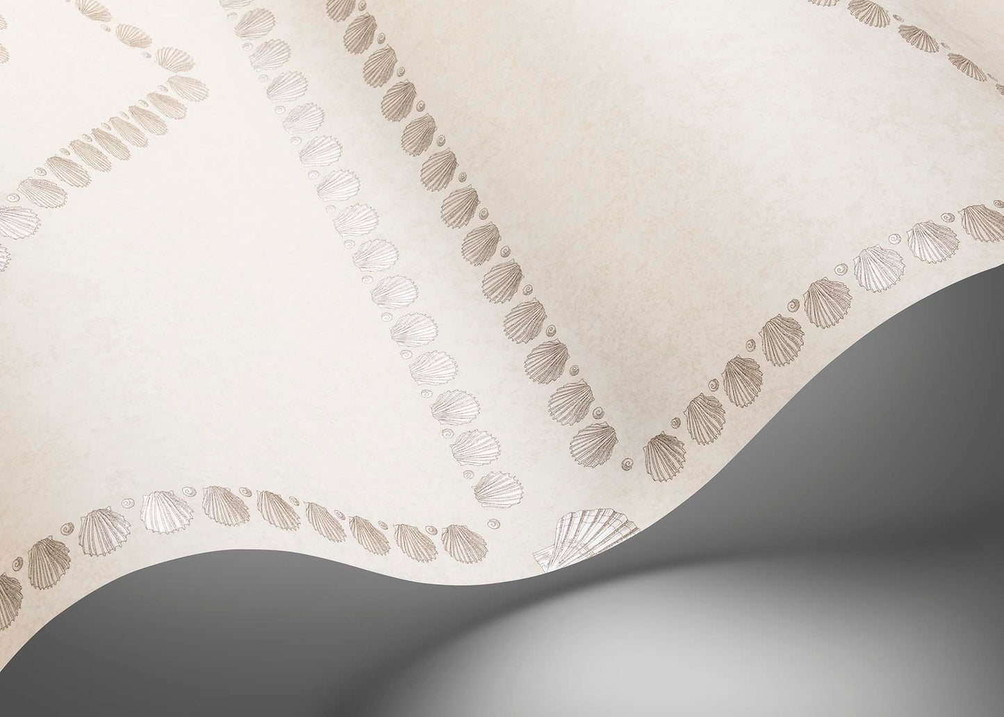 123/5024 - Conchiglie Wallpaper - Pearl on Parchment - Cole & Son