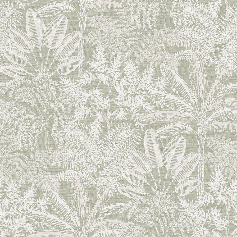 127625 - Intrigue Wallpaper - Sage - Superfresco Easy