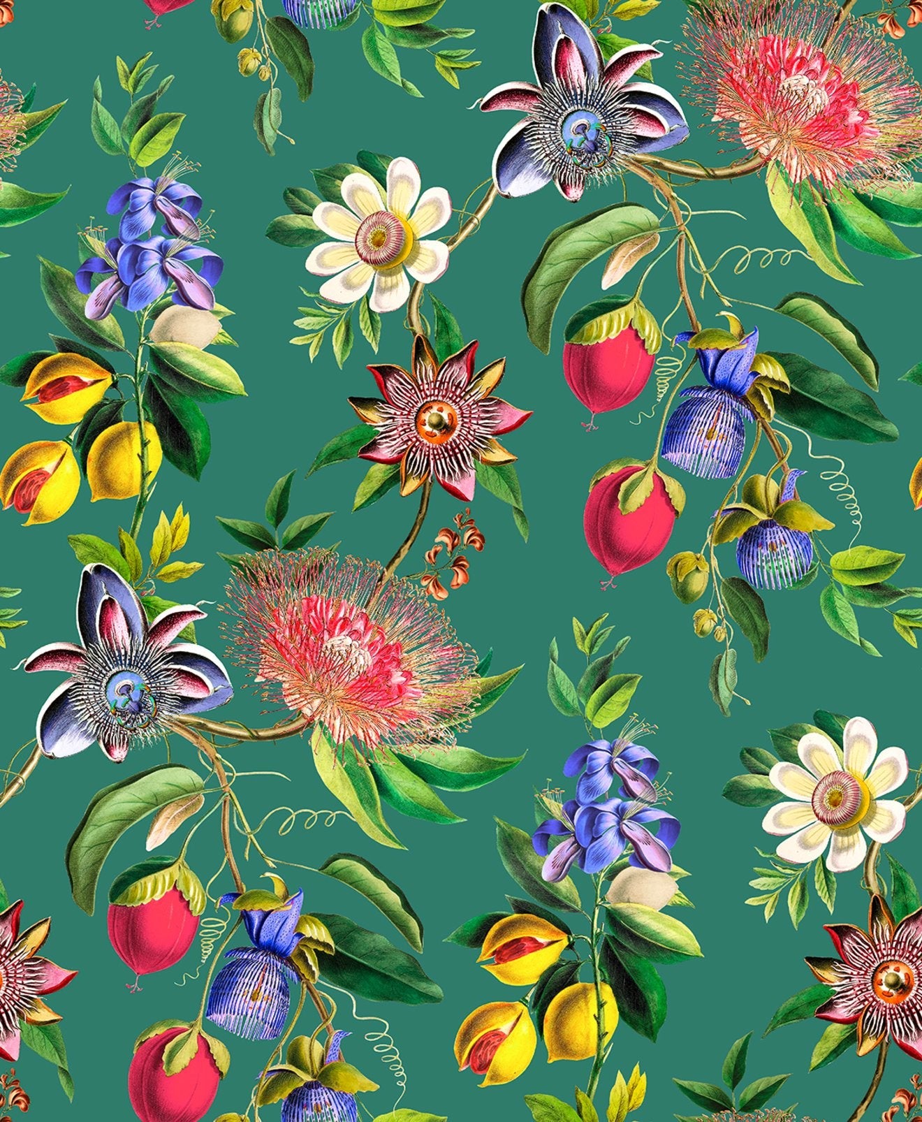 127918 - Physic Garden Wallpaper - Teal - Graham & Brown