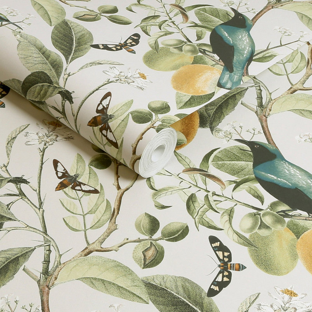 128833 - Fruit Tree Wallpaper - Spring Neutral - Next