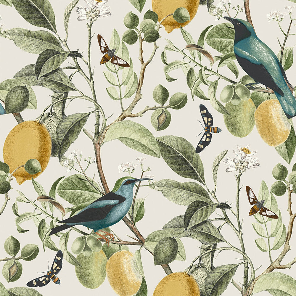 128833 - Fruit Tree Wallpaper - Spring Neutral - Next