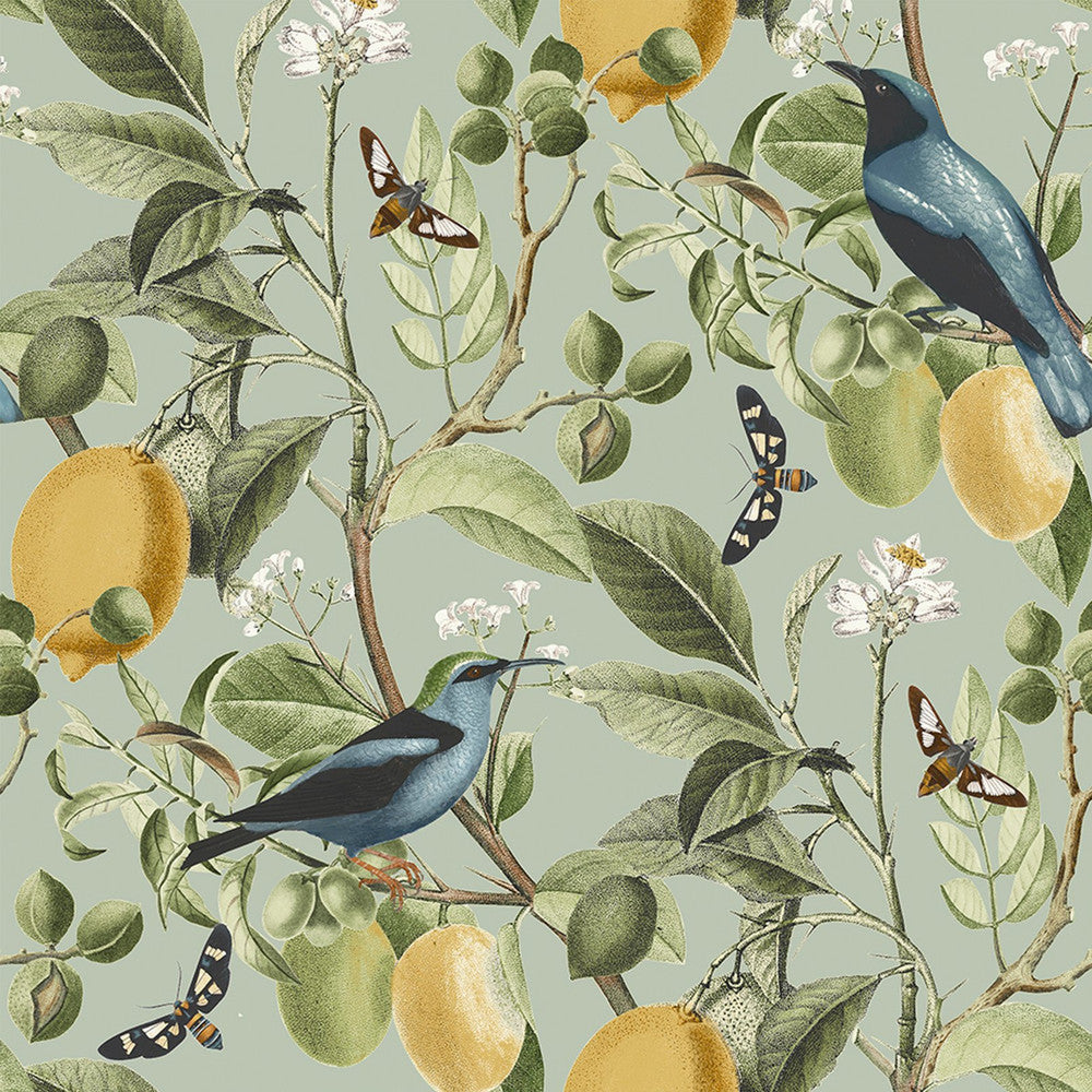128834 - Fruit Tree Wallpaper - Summer Sage - Next
