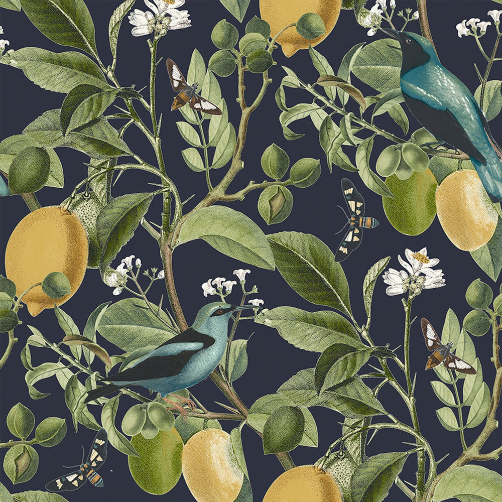 128836 - Fruit Tree Wallpaper - Midnight - Next