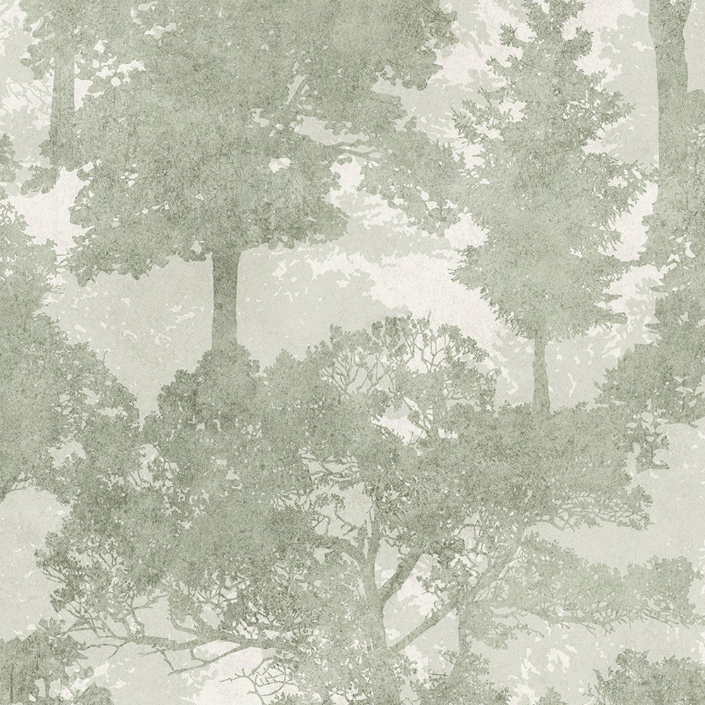 128841 - Trailing Trees Wallpaper - Sage - Next