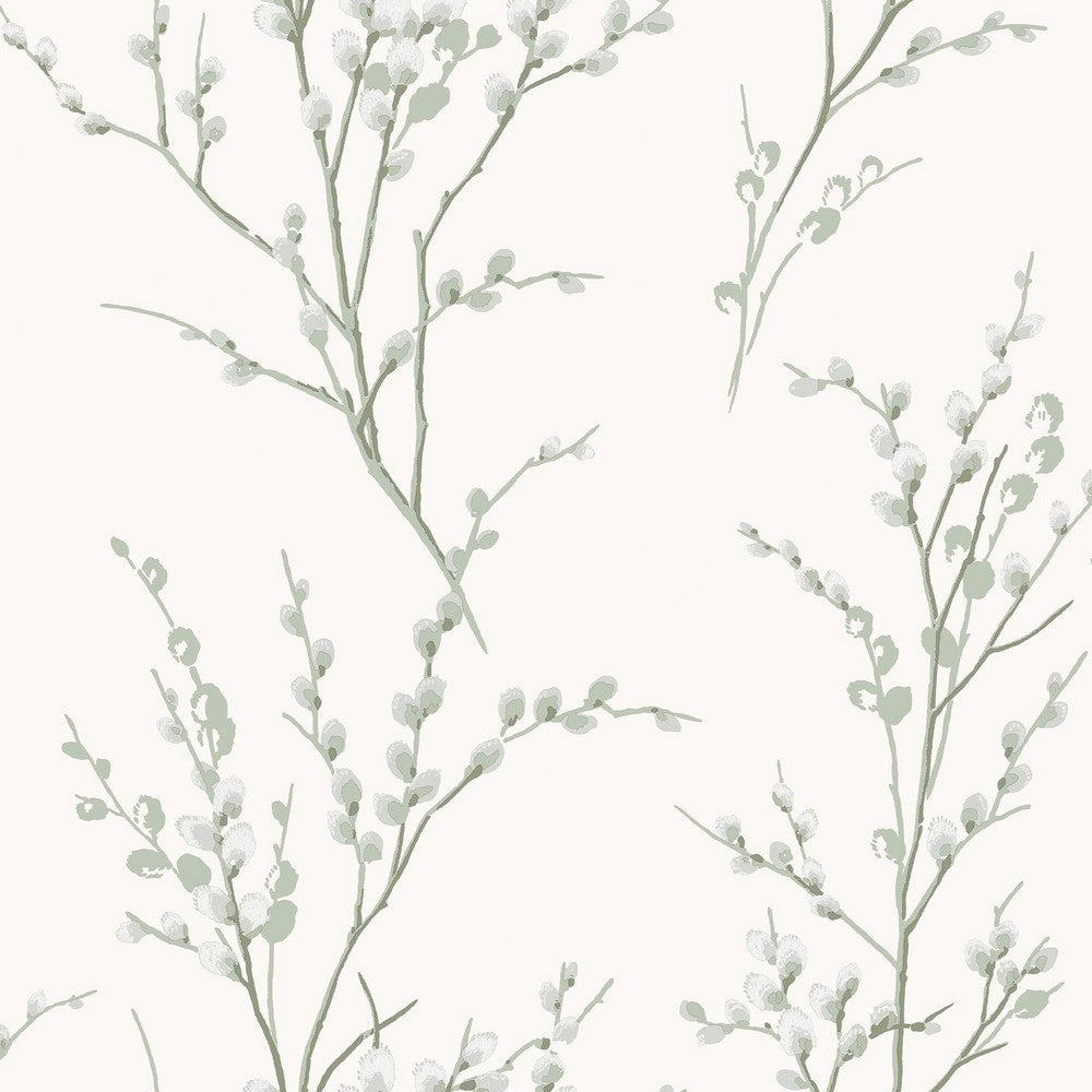 130115 - Pussy Willow Wallpaper - Sage Green - Laura Ashley