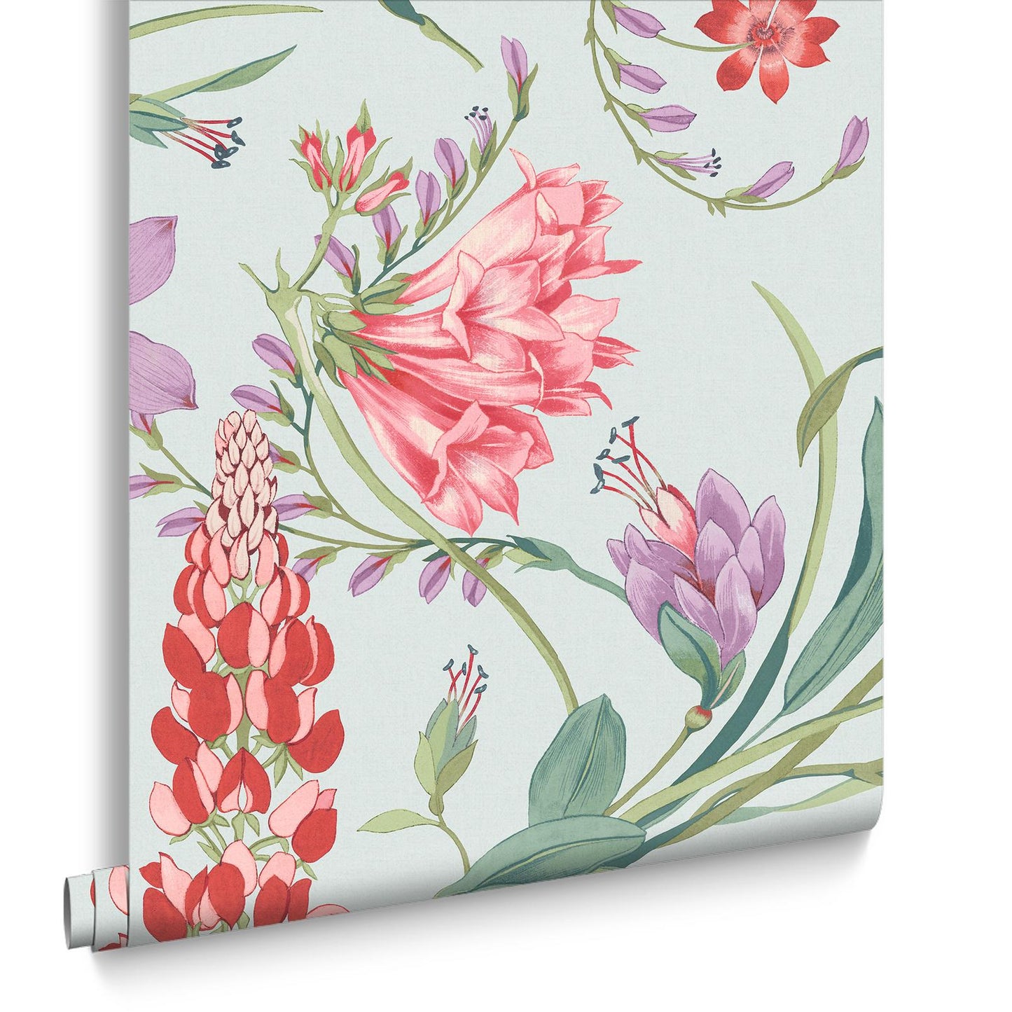 131672 - Botanists Scroll Wallpaper - Duck Egg - Graham & Brown