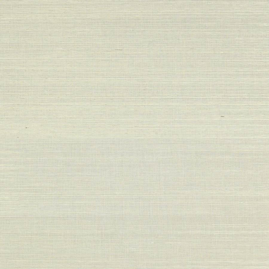 20232-06 - Seagrass Wallpaper - Sky - Colefax & Fowler