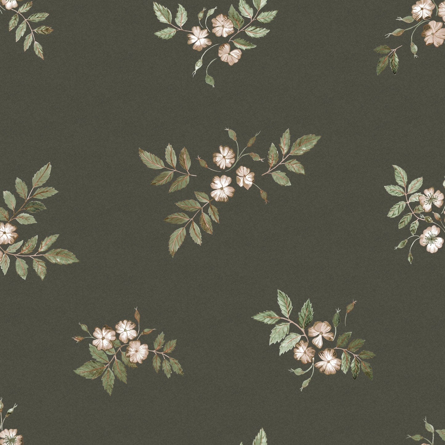 43115 - Nyponros Wallpaper - Black - Midbec