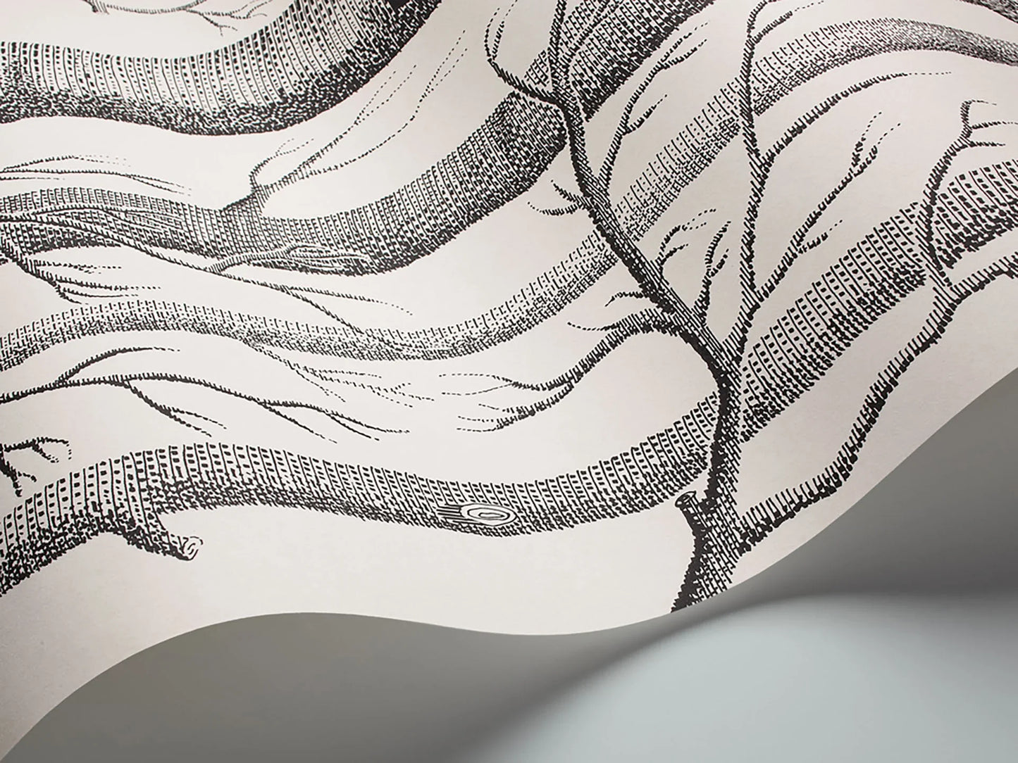 69/12147 - Woods Wallpaper - Black on White - Cole & Son