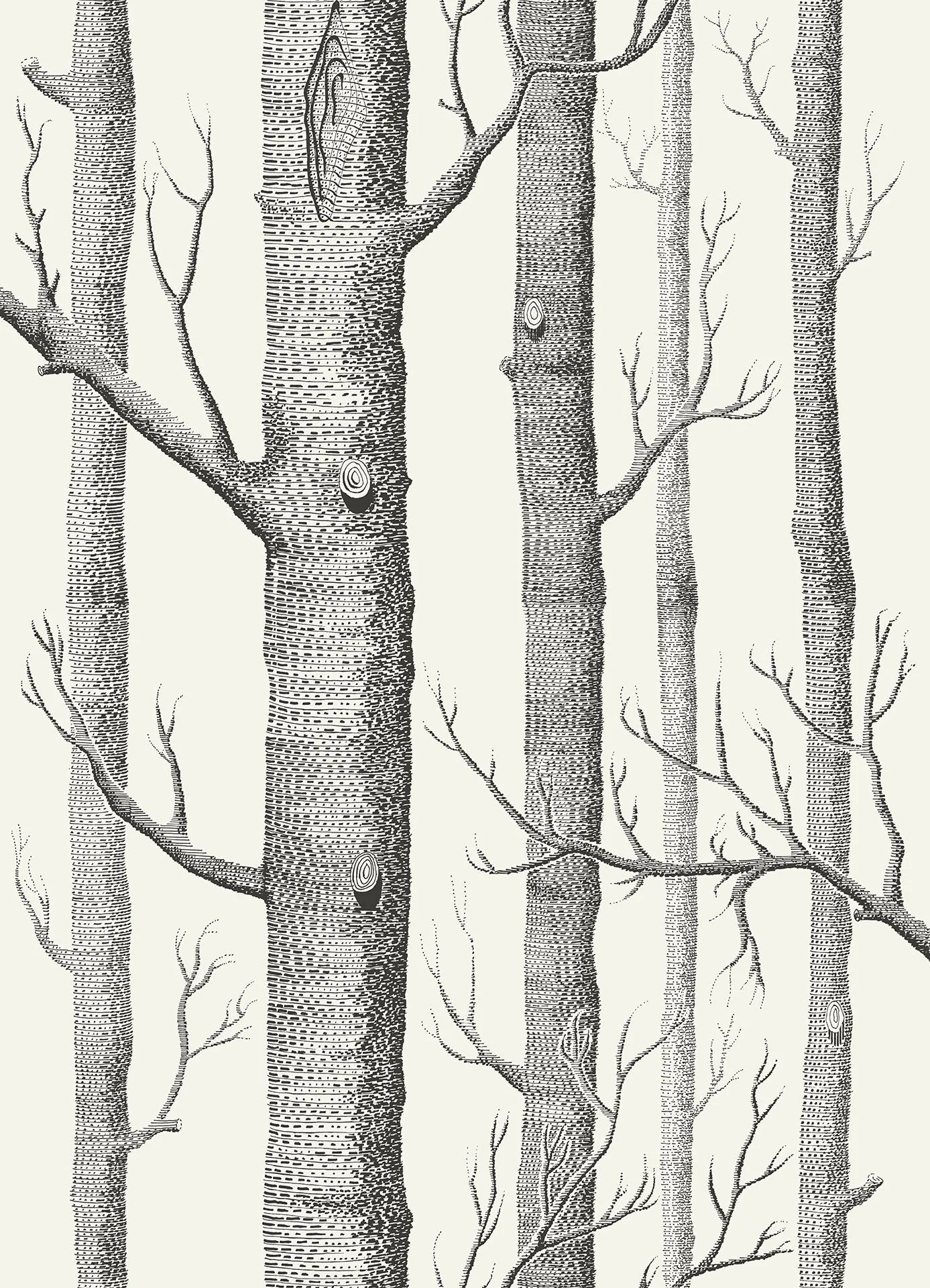 69/12147 - Woods Wallpaper - Black on White - Cole & Son