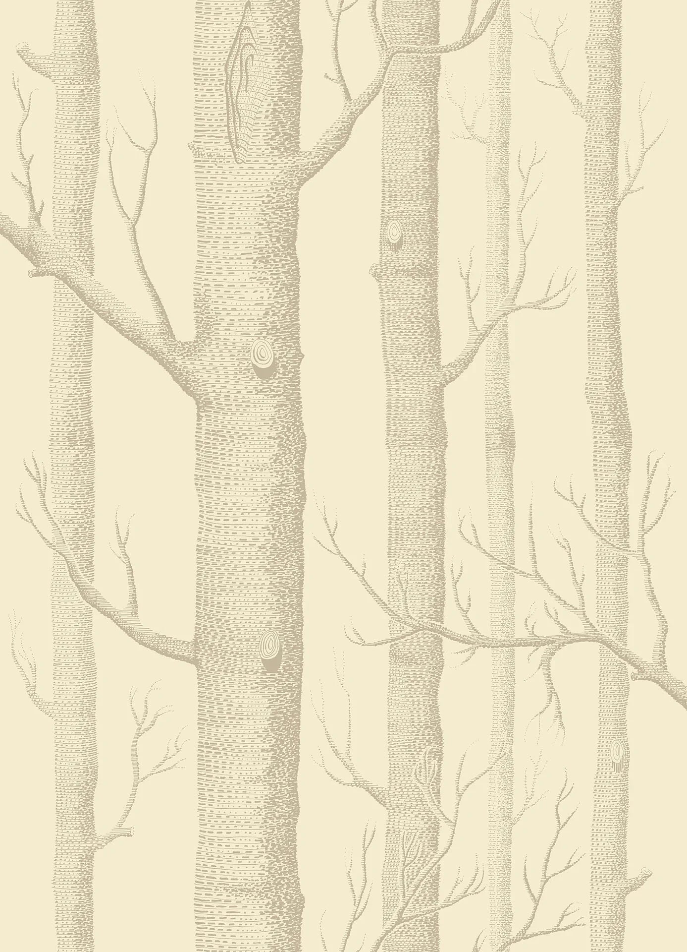 69/12148 - Woods Wallpaper - Linen on Cream - Cole & Son