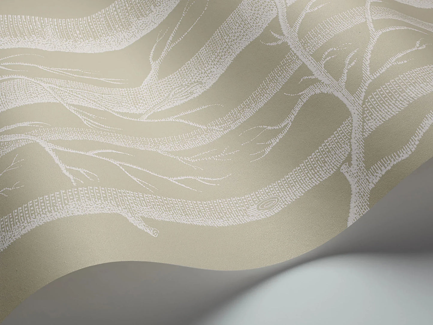 69/12149 - Woods Wallpaper - White on Old Olive - Cole & Son