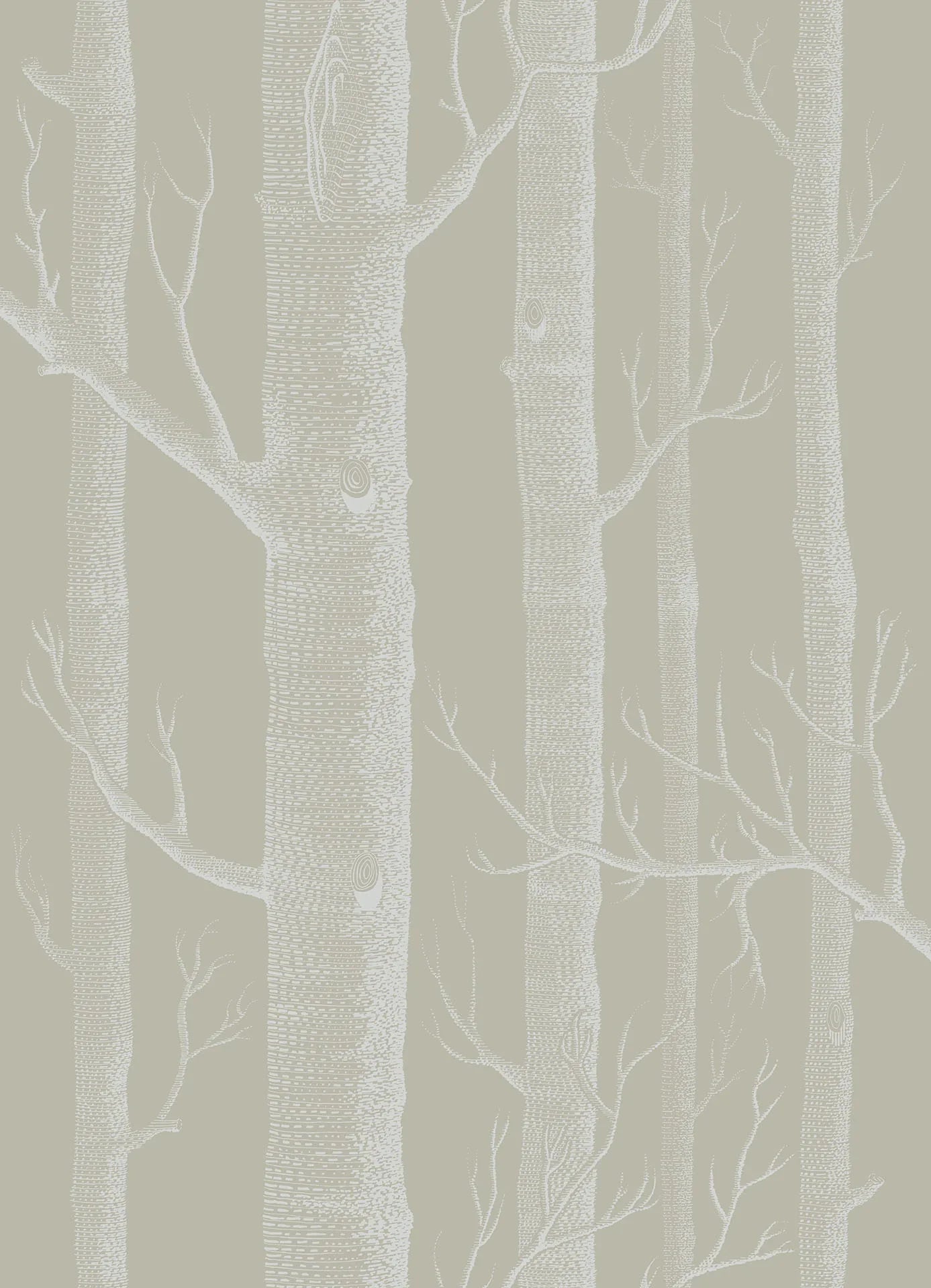 69/12149 - Woods Wallpaper - White on Old Olive - Cole & Son