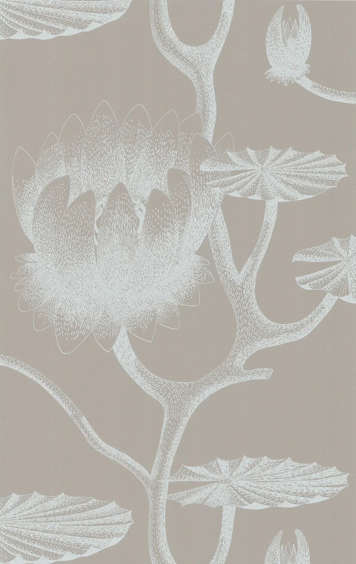 69/3110 - Lily Wallpaper - Chalk on Taupe - Cole & Son