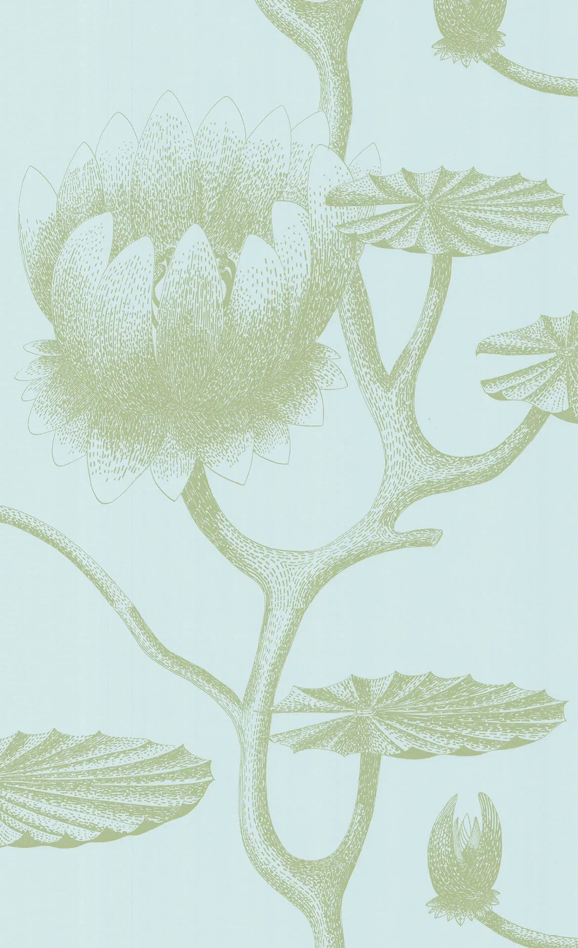 69/3112 - Lily Wallpaper - Olive Green on Seafoam - Cole & Son