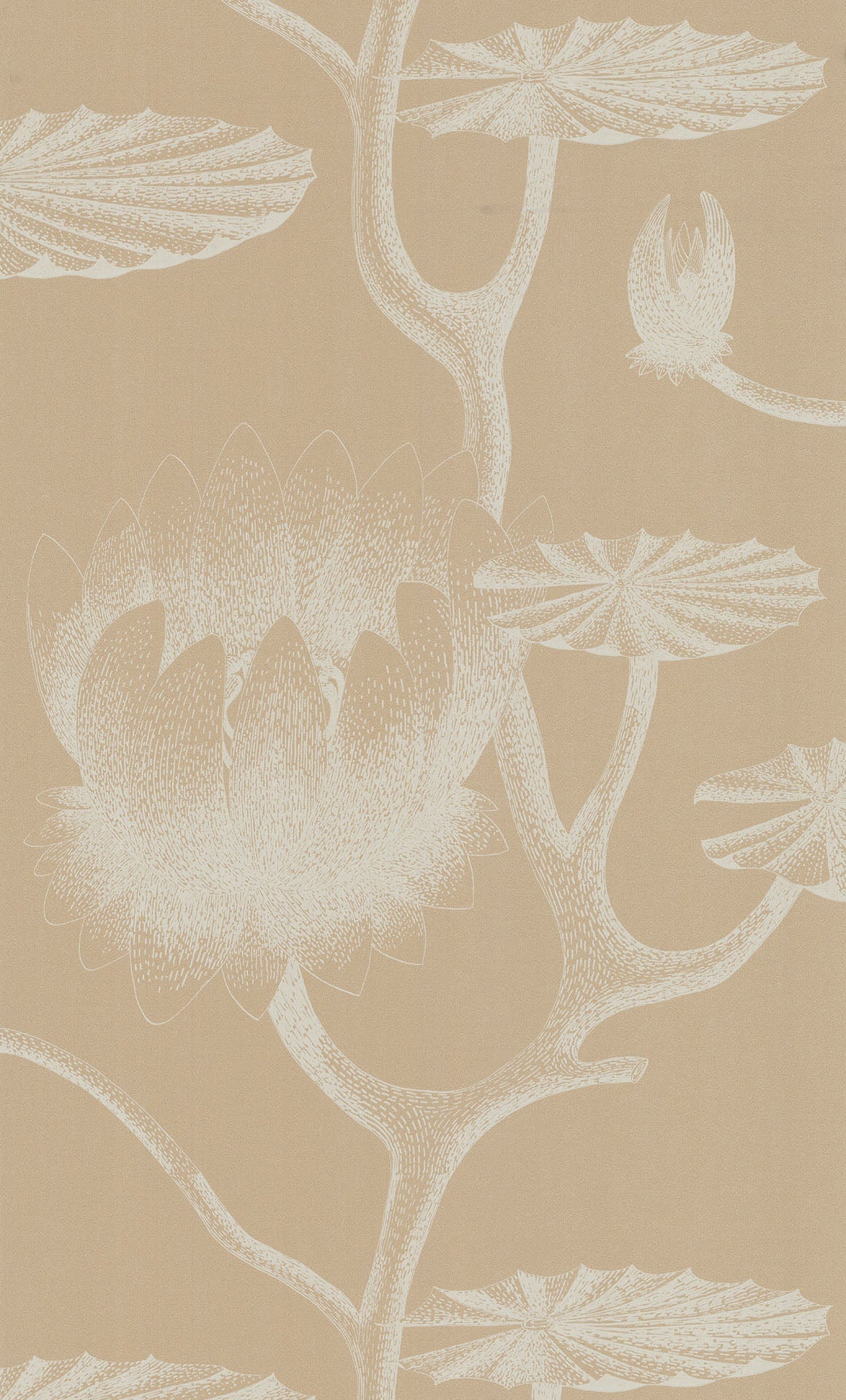 69/3113 - Lily Wallpaper - Parchment on Sand - Cole & Son