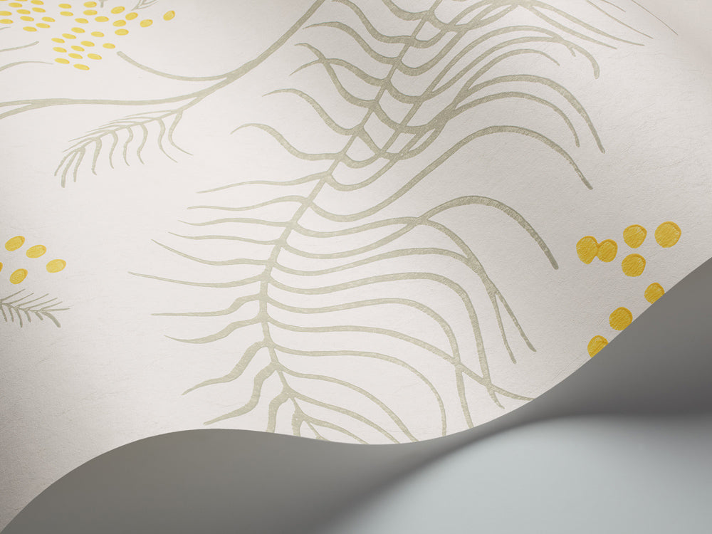 69/8132 - Mimosa Wallpaper - Canary Yellow & Soft Olive on Parchment - Cole & Son