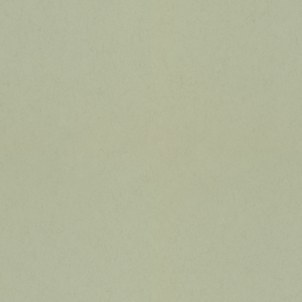 77005 - Pistage Wallpaper - Light Green - Midbec