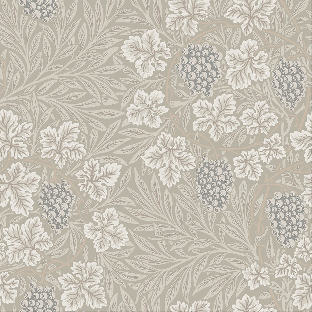 82017 - Vine Wallpaper - Gray - Midbec