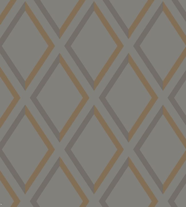 95/11062 - Pompeian Wallpaper - Dark Pewter & Bronze on Soot - Cole & Son