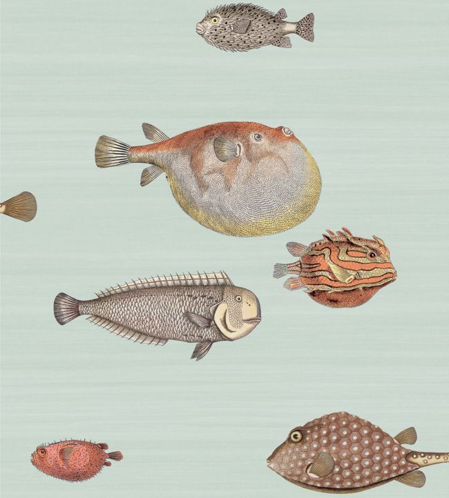 97/10030 - Acquario Wallpaper - Print Room Blue - Cole & Son