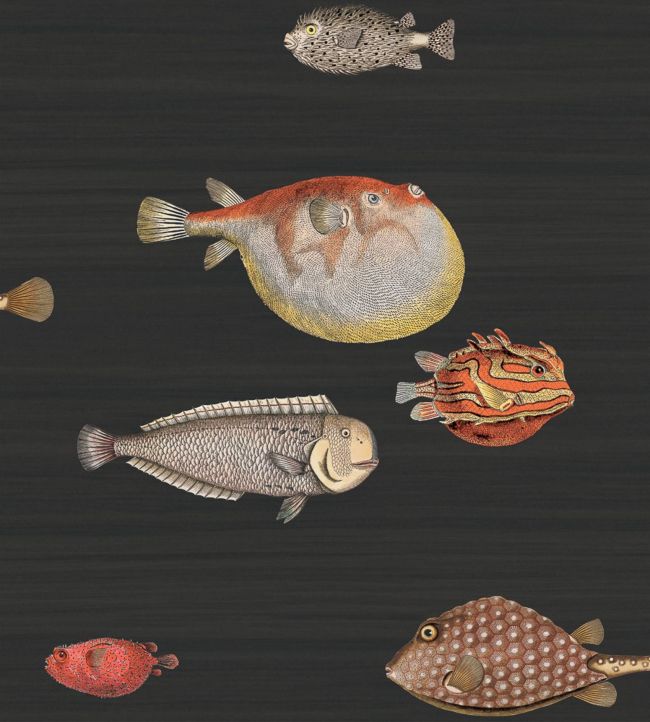 97/10048 - Acquario Wallpaper - Charcoal - Cole & Son