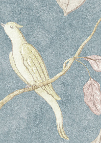 Adam's Eden Wallpaper - Celestial - Lewis & Wood