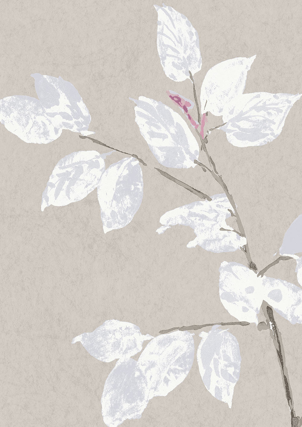 Beech Wallpaper - Linen - Lewis & Wood