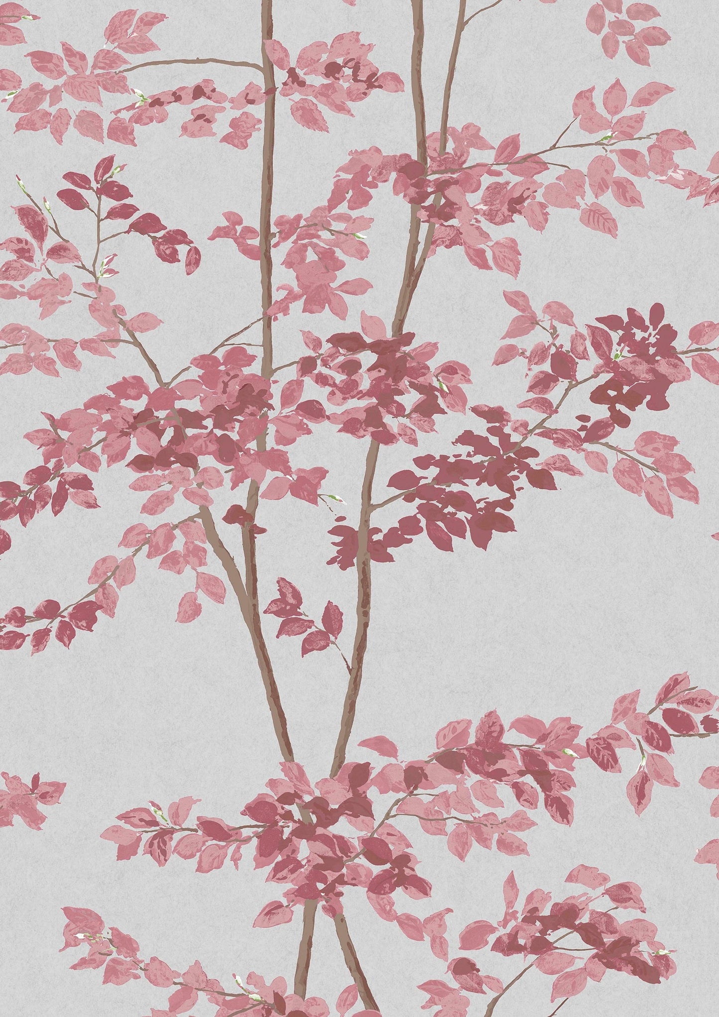 Beech Wallpaper - Rose - Lewis & Wood