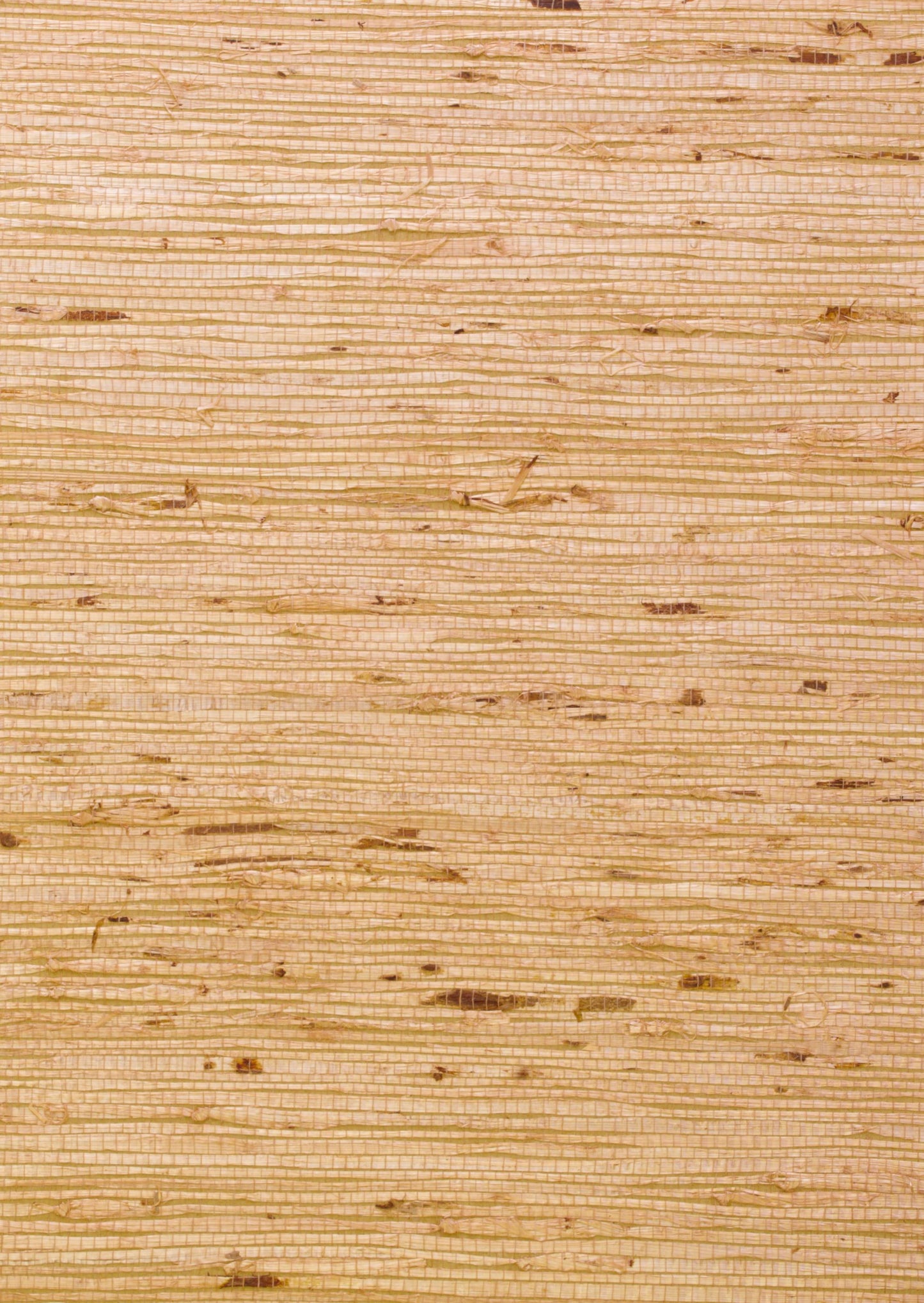 ECASSA - Ashanti Wallpaper - Sand - Andrew Martin