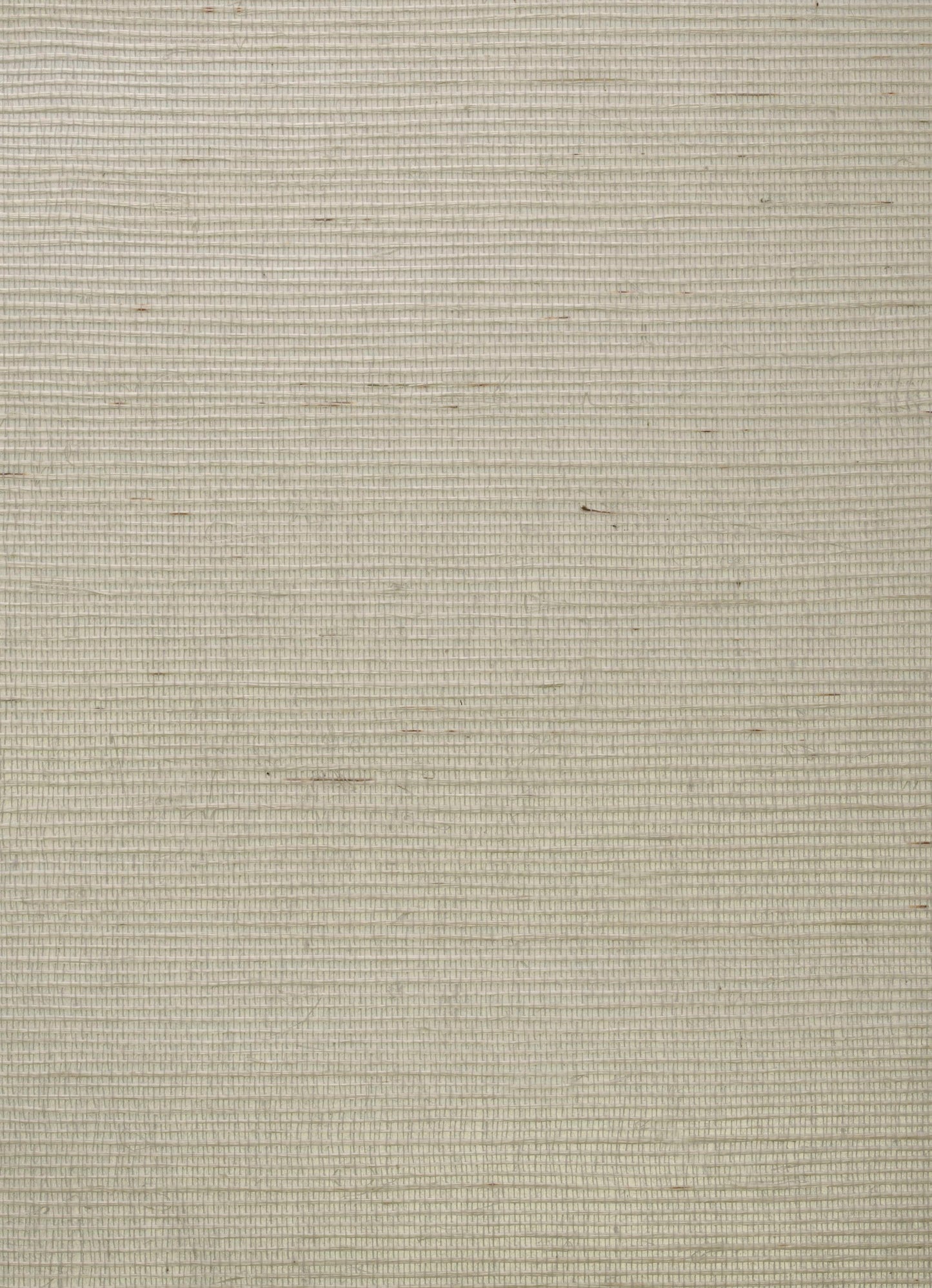 ECKOCH - Kongo Wallpaper - Chalk - Andrew Martin