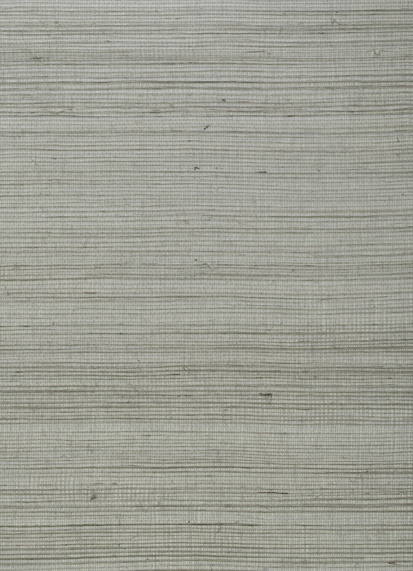 ECKOSE - Kongo Wallpaper - Seed - Andrew Martin