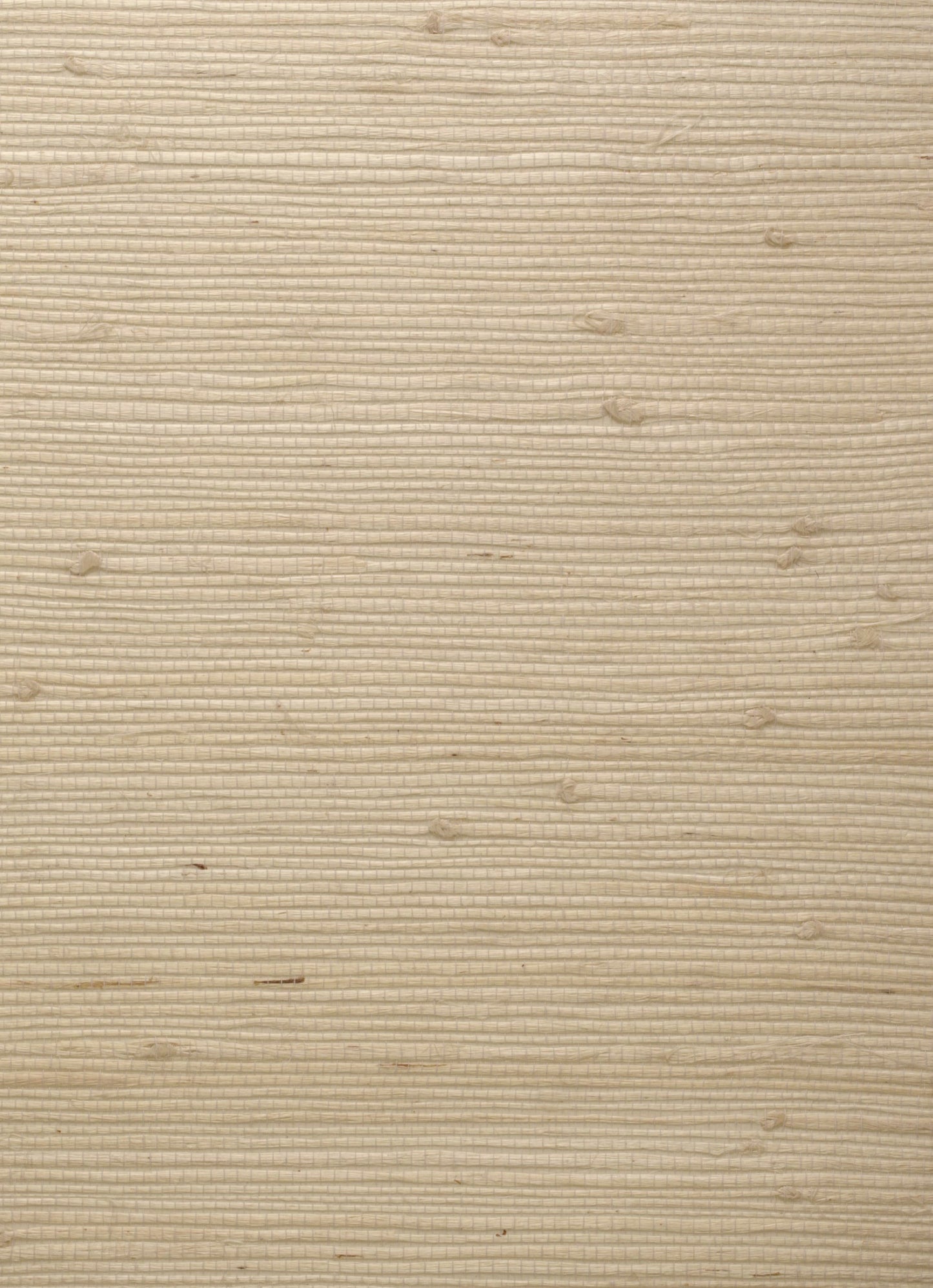 ECSAGO - Samburu Wallpaper - Goatskin - Andrew Martin