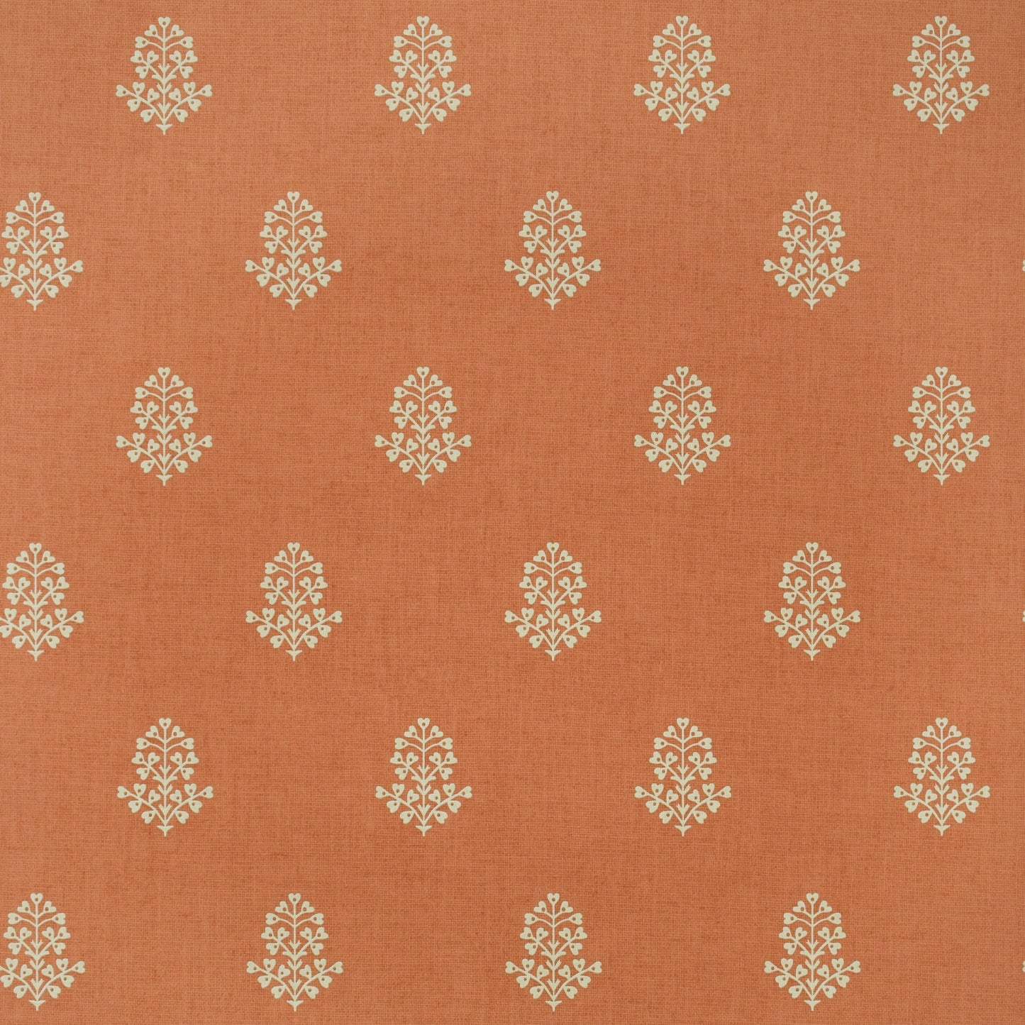 GPWCPCL - Cow Parsley Wallpaper - Clementine - Andrew Martin
