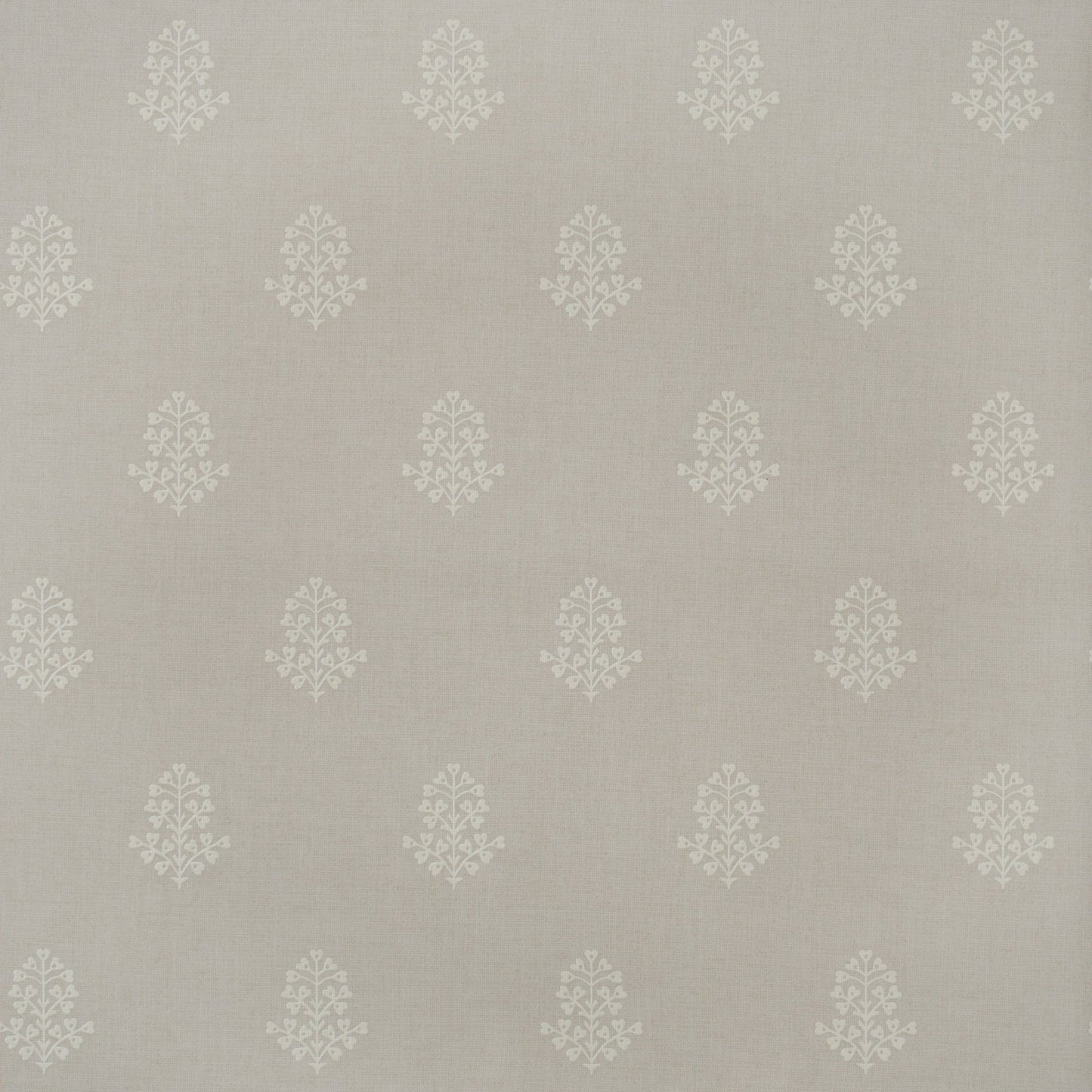 GPWCPML - Cow Parsley Wallpaper - Marl - Andrew Martin