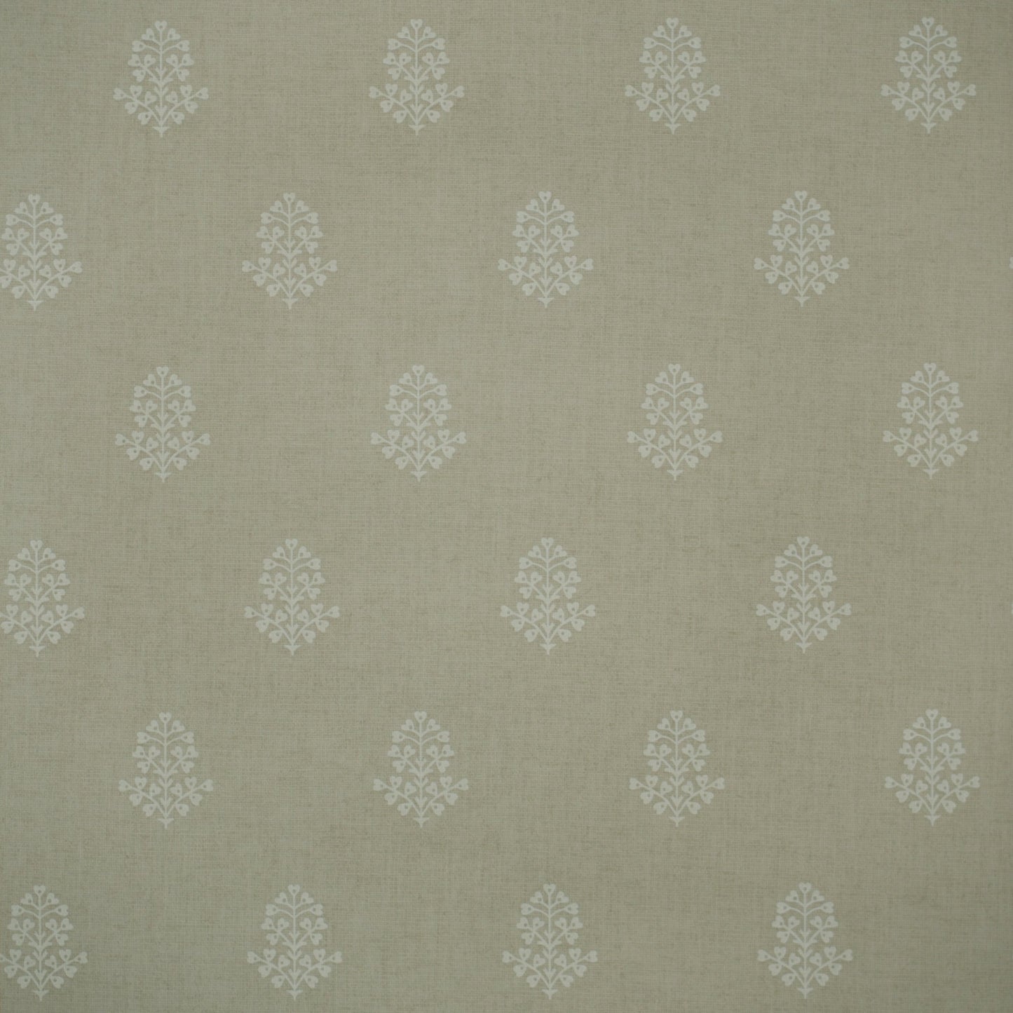 GPWCPST - Cow Parsley Wallpaper - Stone - Andrew Martin