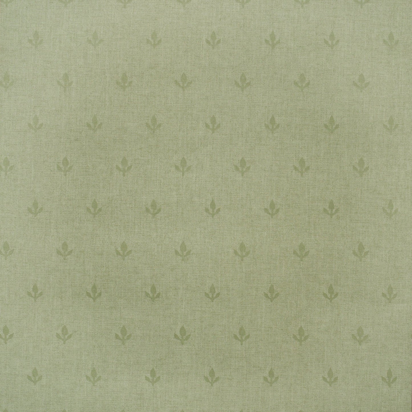 GPWCRLF - Crocus Wallpaper - Leaf Green - Andrew Martin