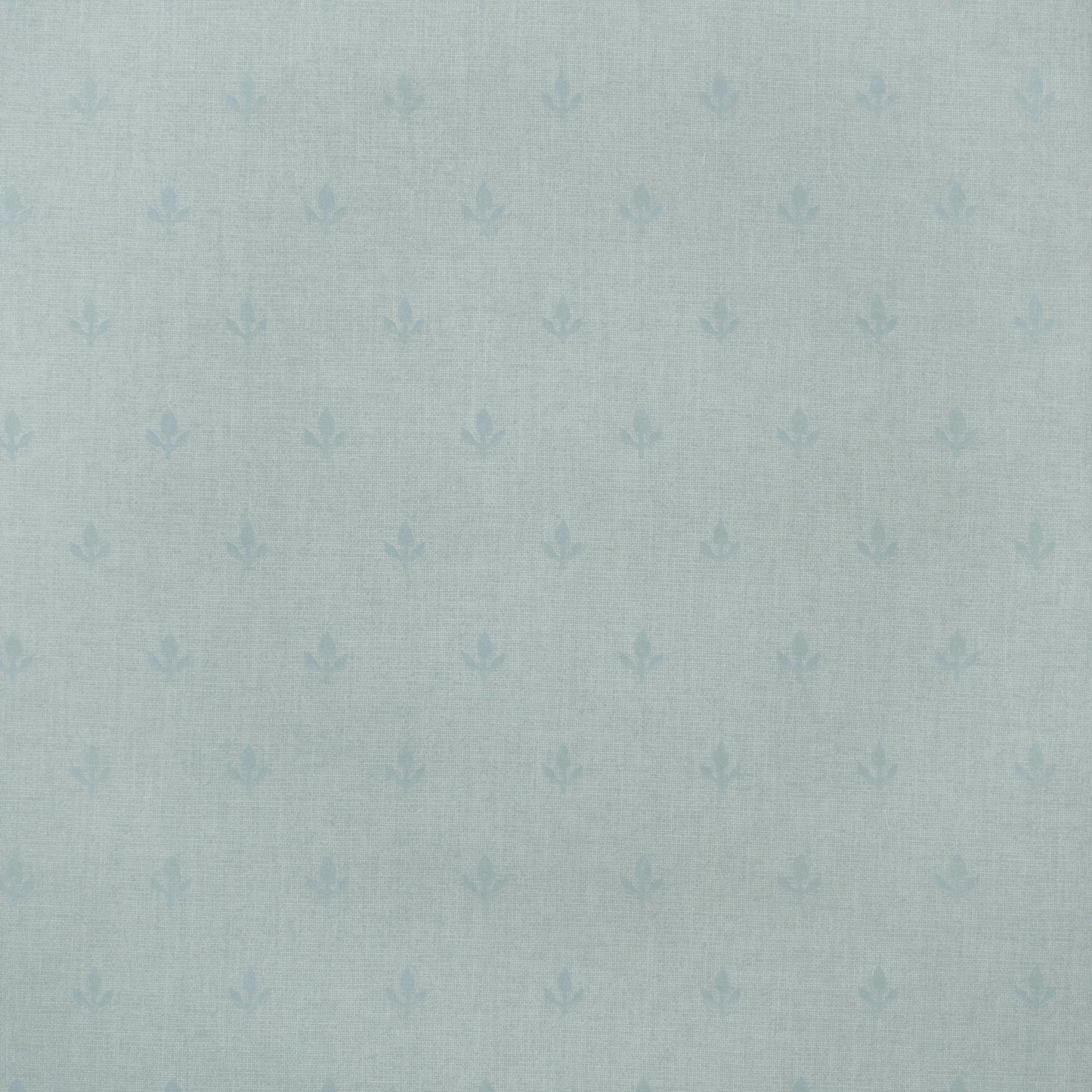 GPWCRSK - Crocus Wallpaper - Sky - Andrew Martin