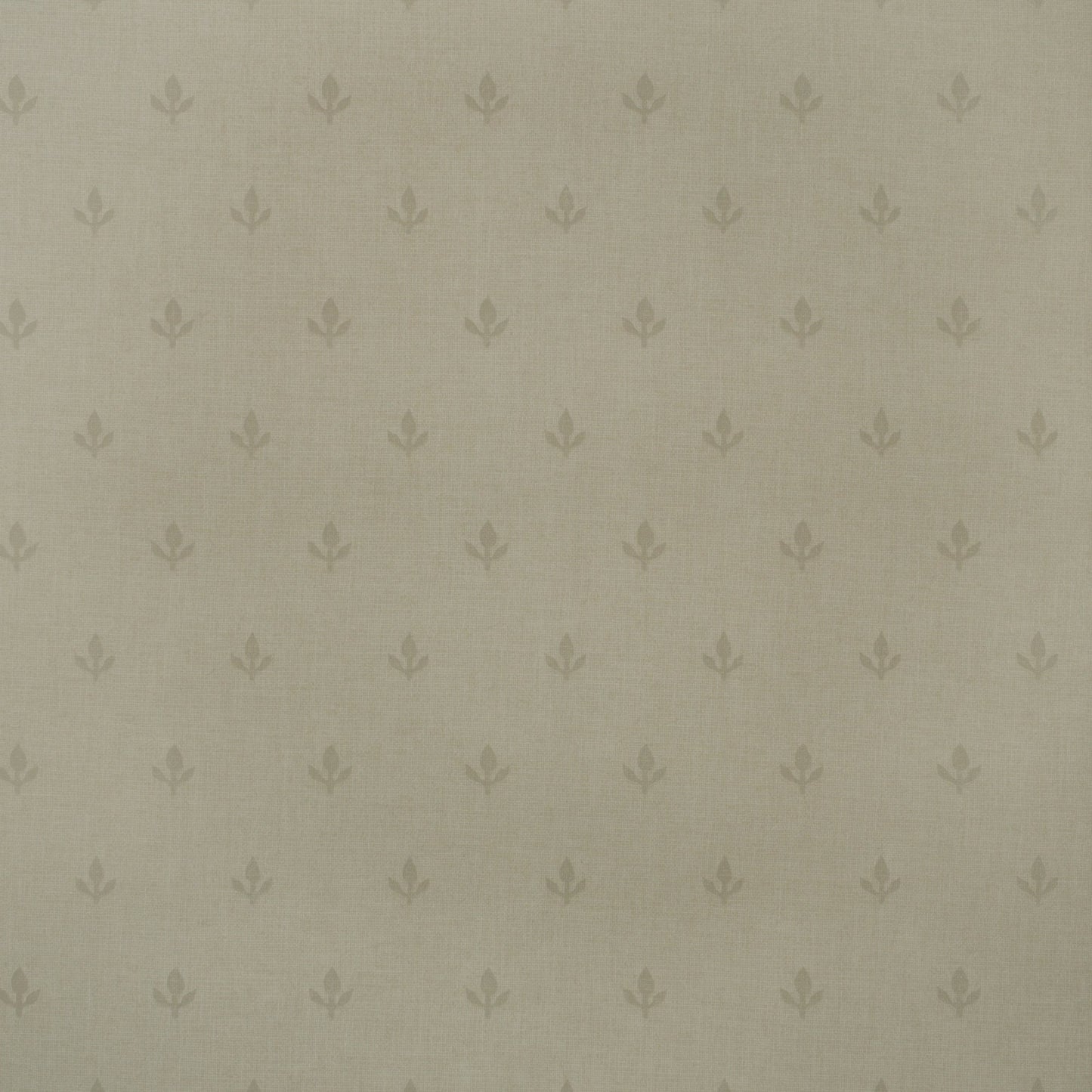 GPWCRST - Crocus Wallpaper - Stone - Andrew Martin