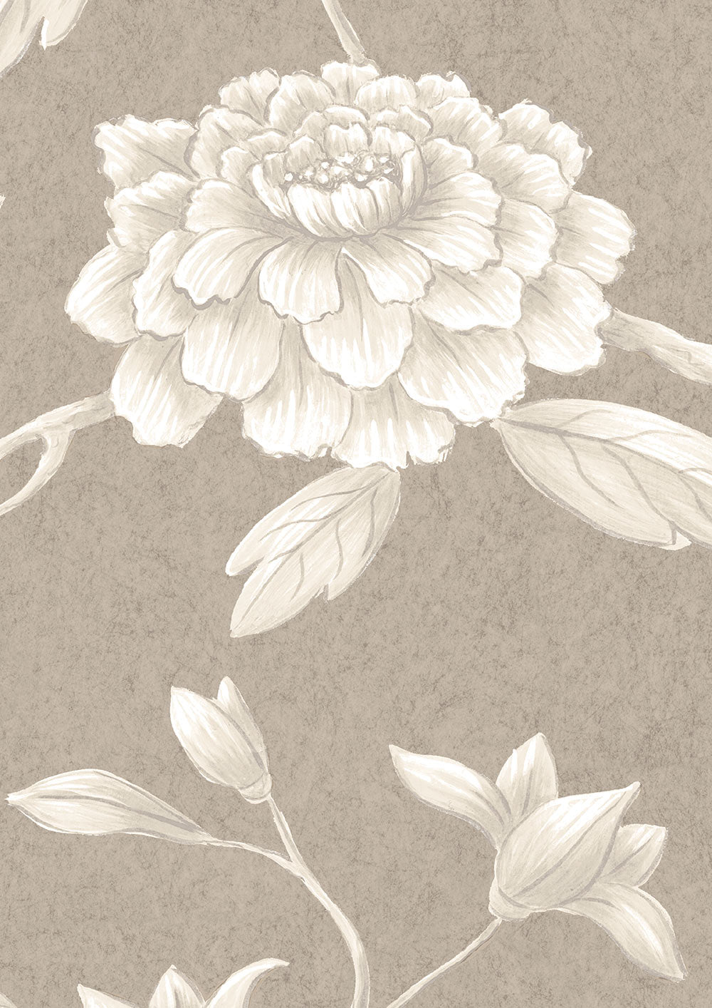 Jasper Peony Wallpaper - Casement - Lewis & Wood