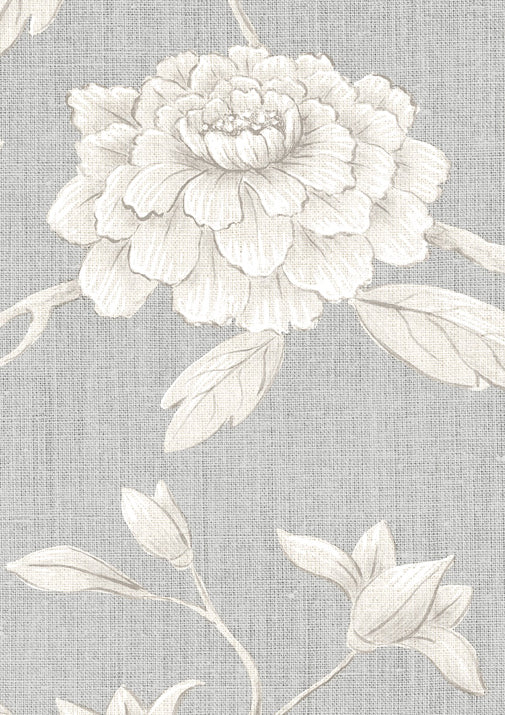 Jasper Peony Wallpaper - Cashmere - Lewis & Wood