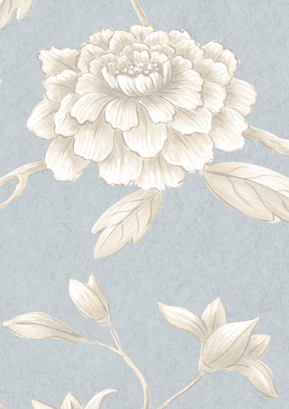Jasper Peony Wallpaper - Cirrus - Lewis & Wood