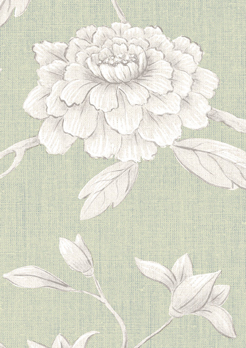 Jasper Peony Wallpaper - Eau de Nil - Lewis & Wood