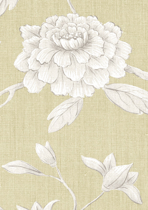 Jasper Peony Wallpaper - Mimosa - Lewis & Wood