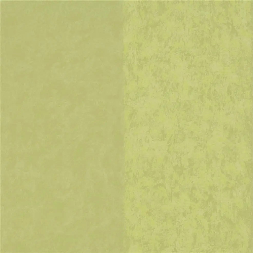 Kalpana Wallpaper - Moss - P576/15 - Designers Guild