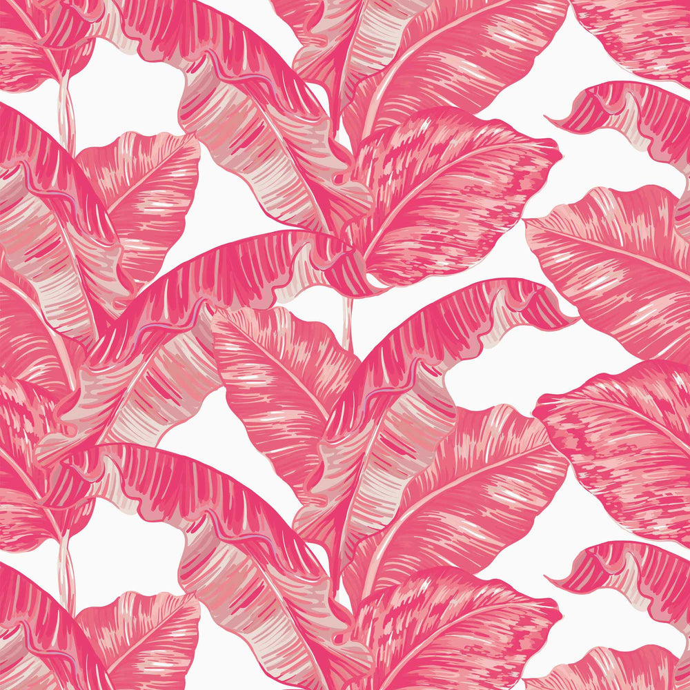 LH900004 - Under The Banana Tree Wallpaper - Hot Pink - Lust Home