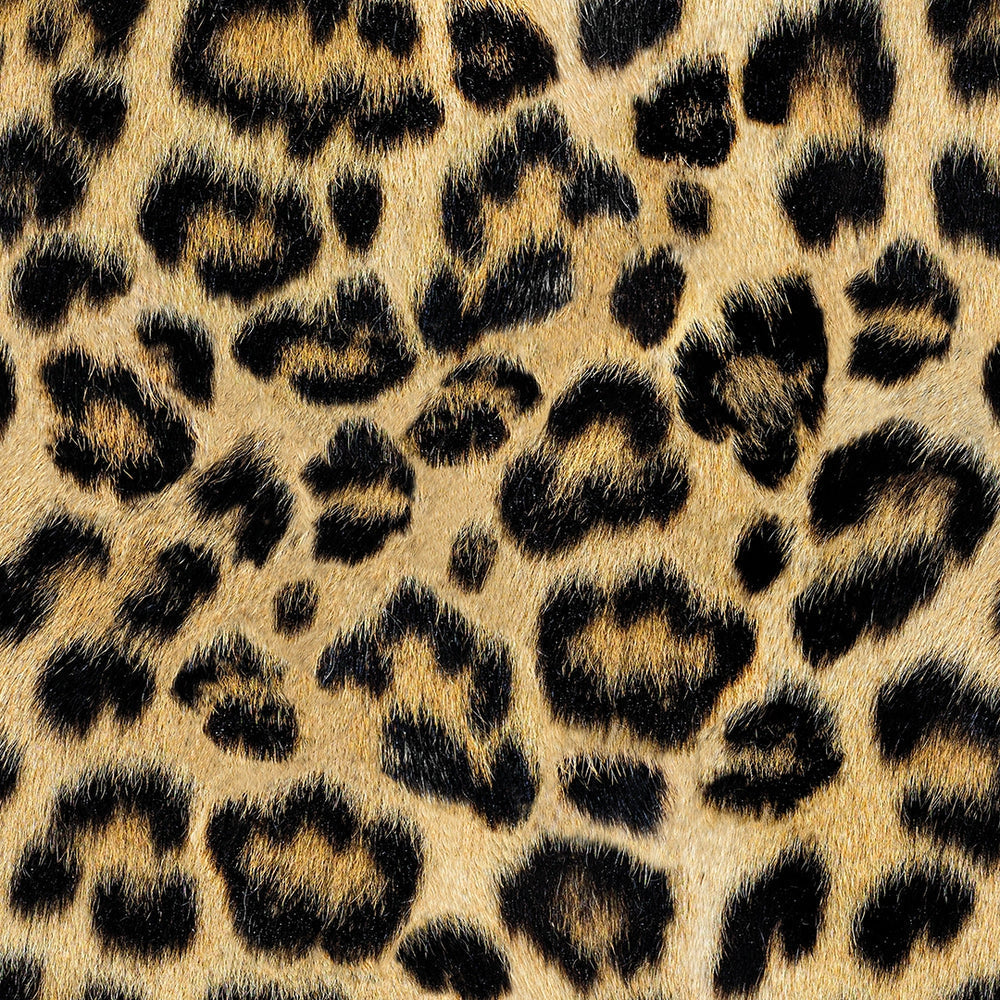 LH900597 - Fur-real Leopard Wallpaper - Margay Black & Ocelot Brown - Lust Home