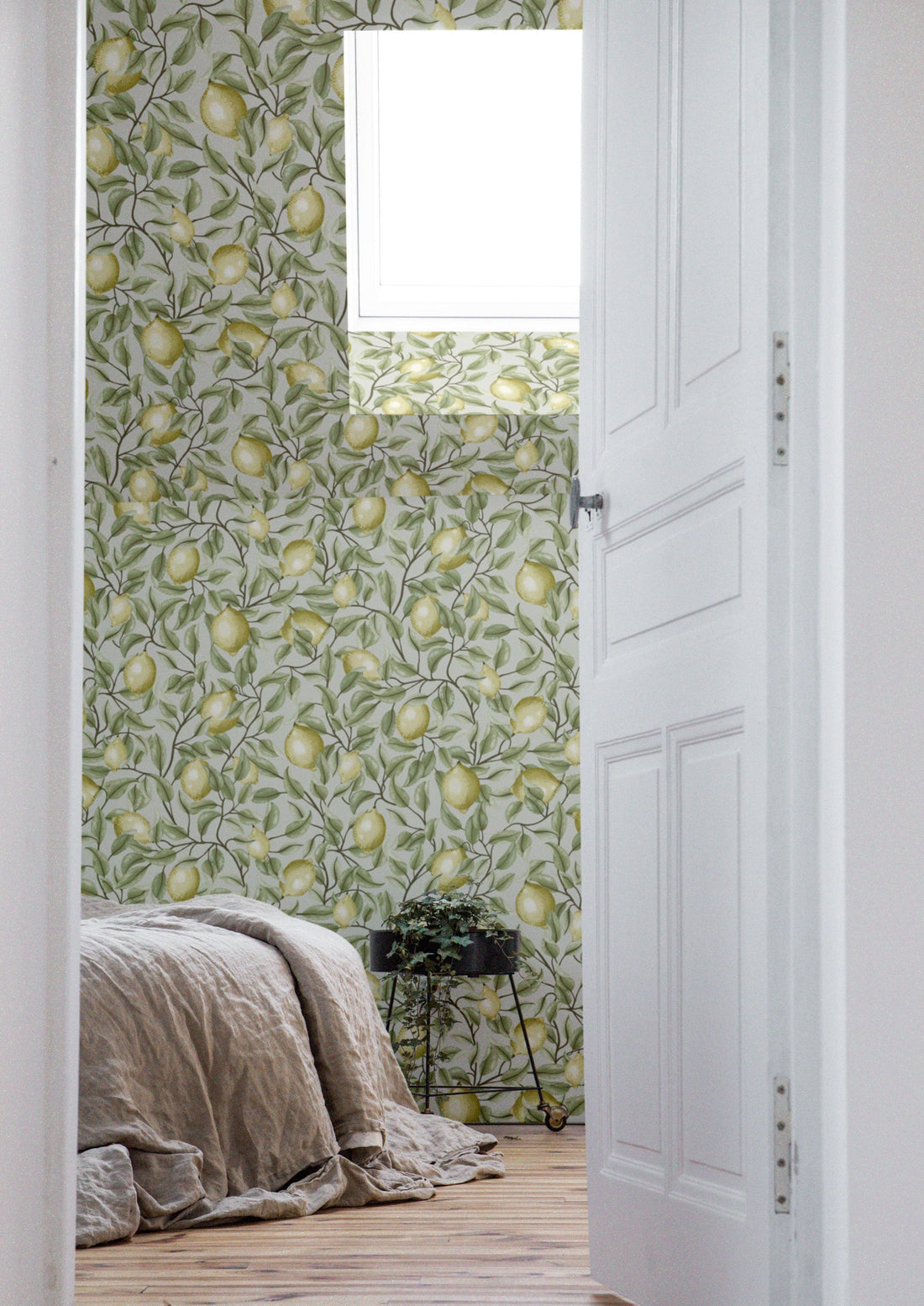 Lemon Trees Wallpaper - Tea green - Summer Gray